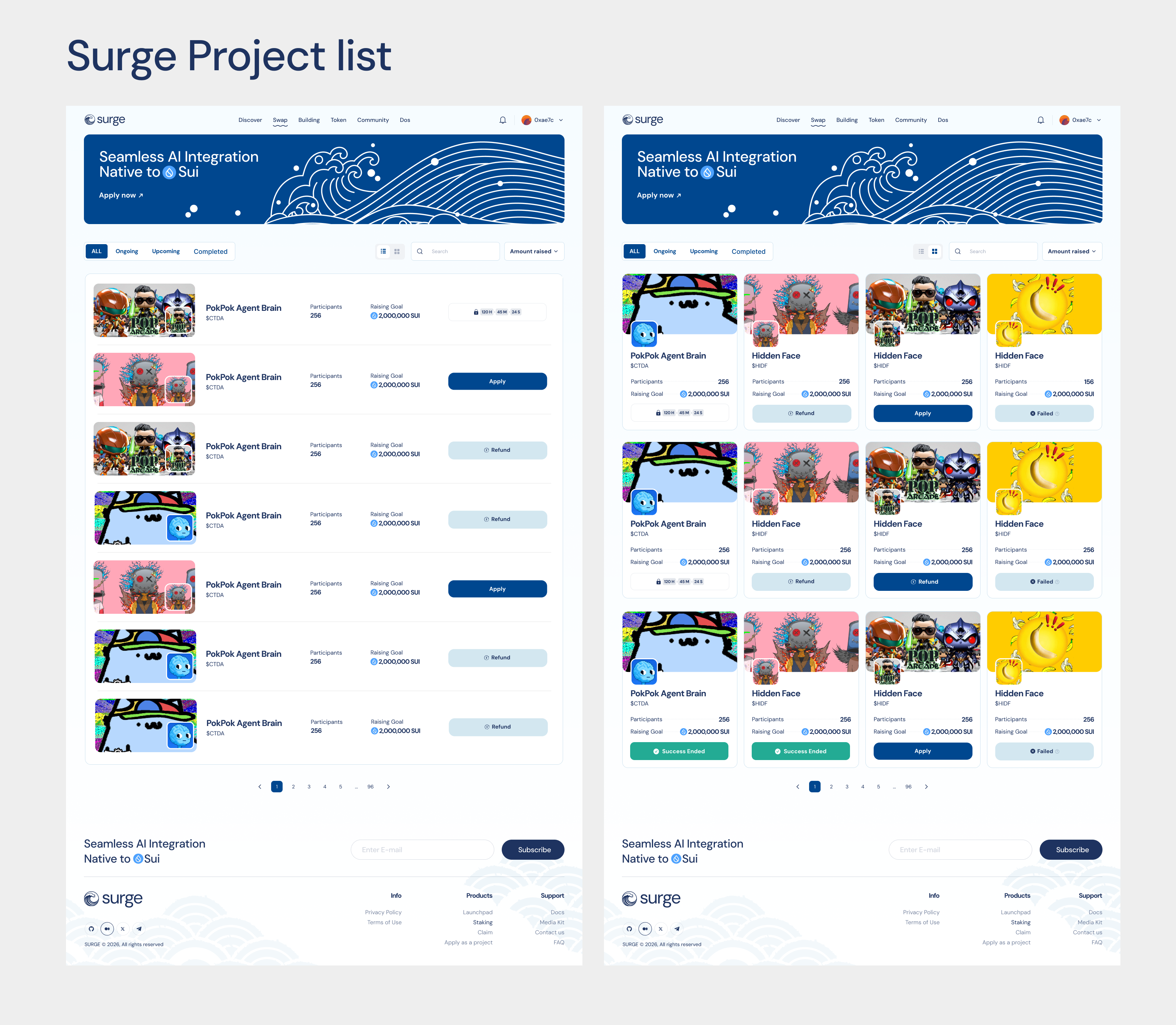 Surge Project list